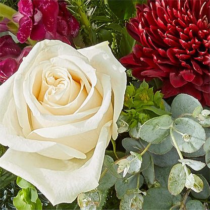 Cranberry Fizz Bouquet –  Central Market Florist #138, Latham NY
