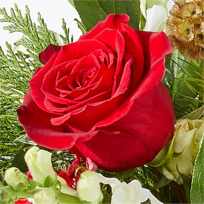 Deck the Halls Bouquet –  Central Market Florist #138, Latham NY