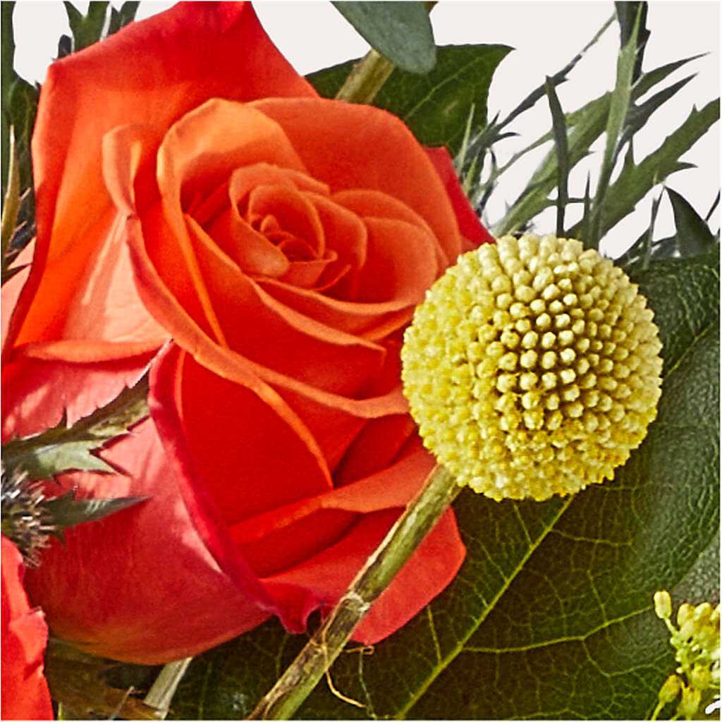 Disco Bouquet –  Central Market Florist #138, Latham NY