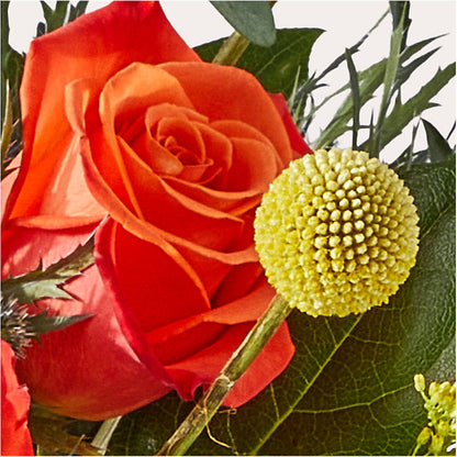 Disco Bouquet –  Central Market Florist #138, Latham NY