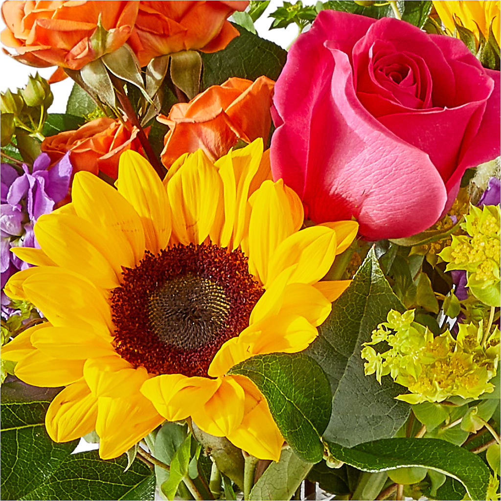 Vibrant Greetings Bouquet –  Central Market Florist #138, Latham NY