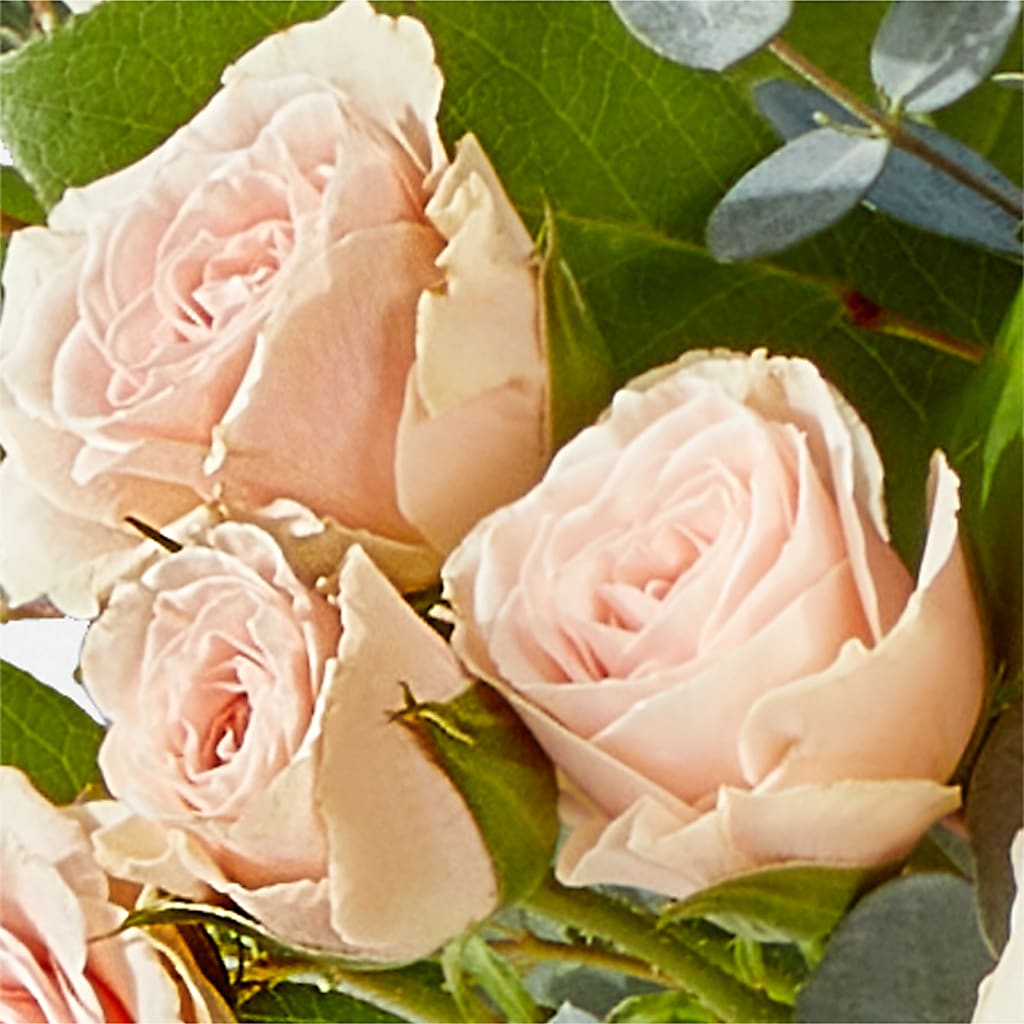 Inspired Bouquet –  Central Market Florist #138, Latham NY