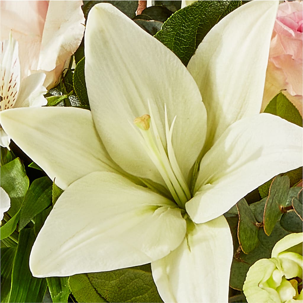 Ballet Slippers Bouquet –  Central Market Florist #138, Latham NY