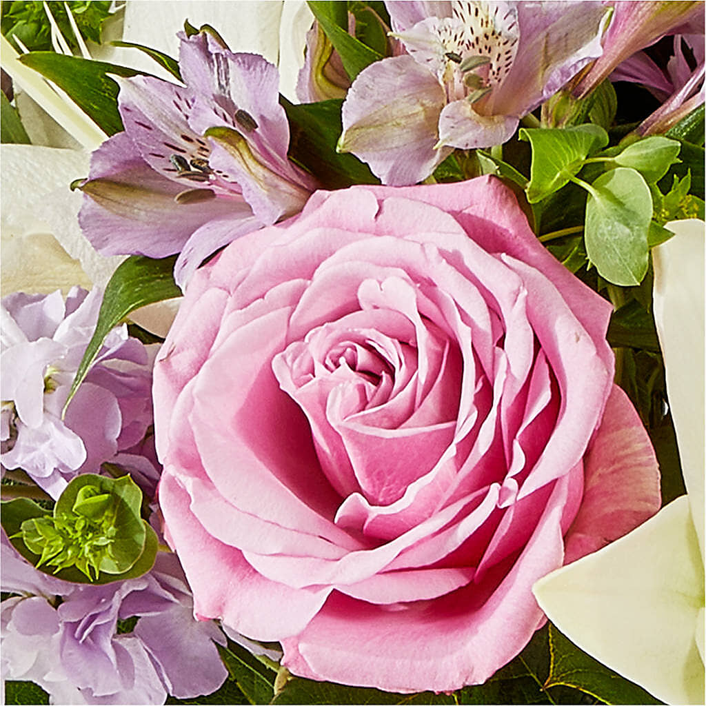 Daydreamer Bouquet –  Central Market Florist #138, Latham NY