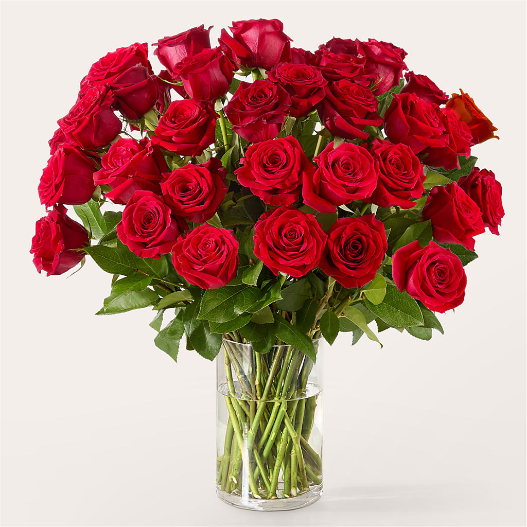 The One Red Rose Bouquet –  Central Market Florist #138, Latham NY