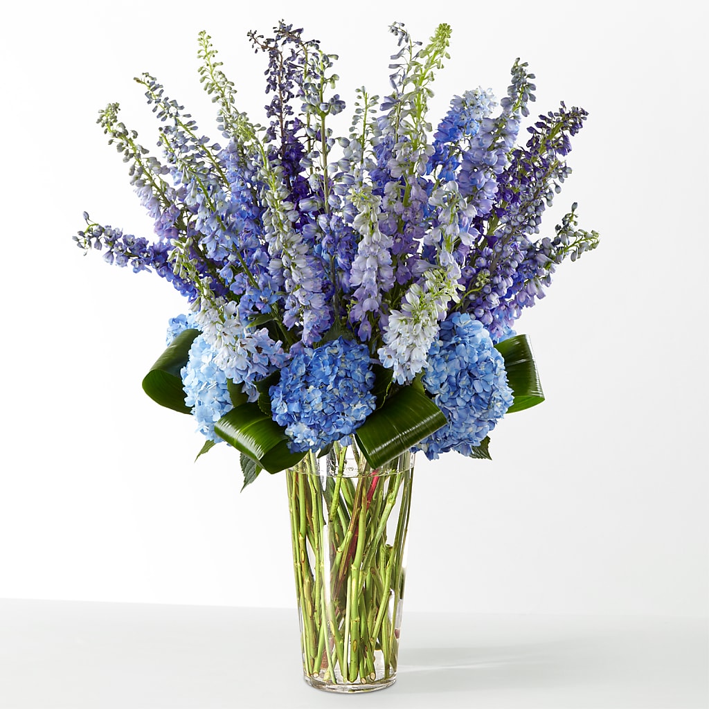 The Editorial –  Central Market Florist #138, Latham NY