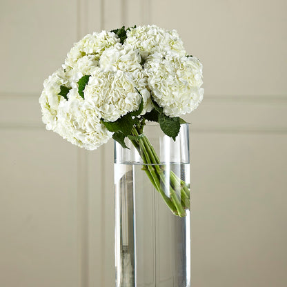 White Hydrangea Hand-Tied Bouquet –  Central Market Florist #138, Latham NY