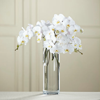 White Phalaenopsis Bouquet –  Central Market Florist #138, Latham NY