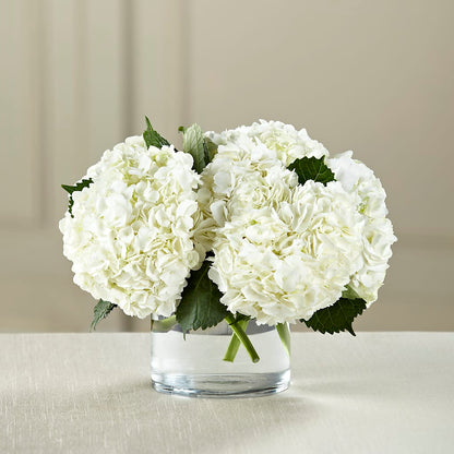White Hydrangea Bouquet –  Central Market Florist #138, Latham NY